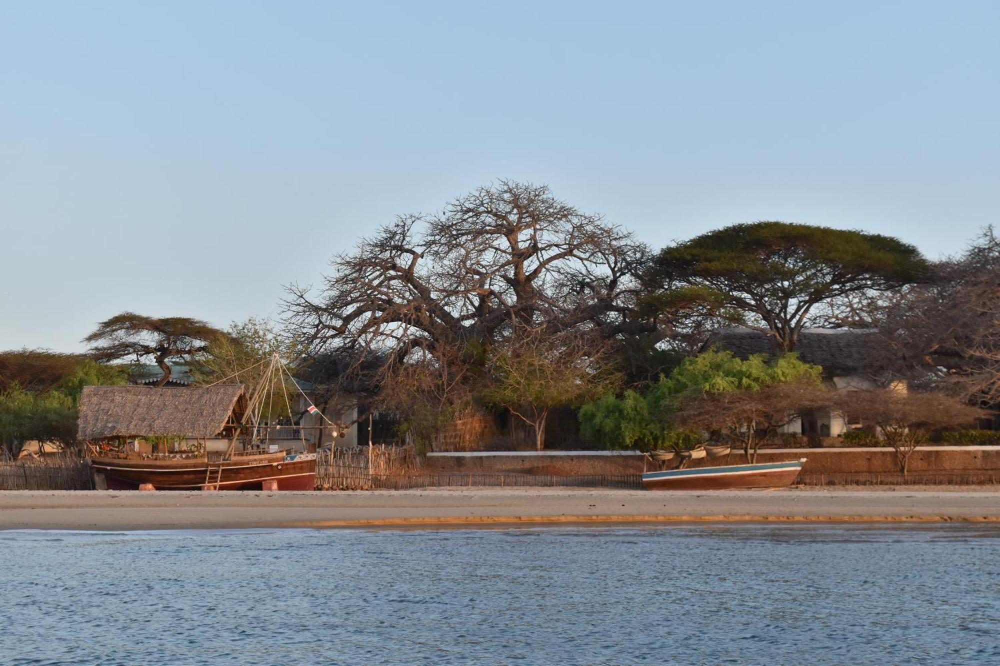 Amu House Hotel Lamu Luaran gambar